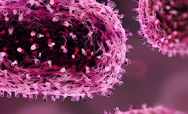Vírus Mpox: OMS Mantém Alerta Máximo de Emergência Global diante de Aumento de Casos e Mortes